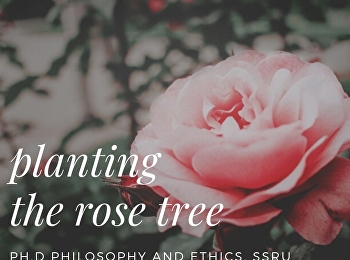 planting the rose tree